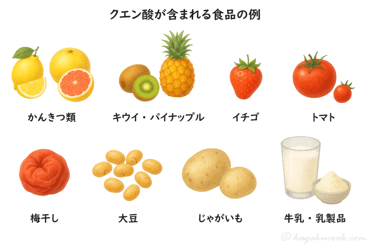 クエン酸は、かんきつ類(レモンやグレープフルーツなど)、キウイ、パイナップル、イチゴ、トマト、梅干し、大豆、じゃがいも、牛乳・乳製品などに含まれる。