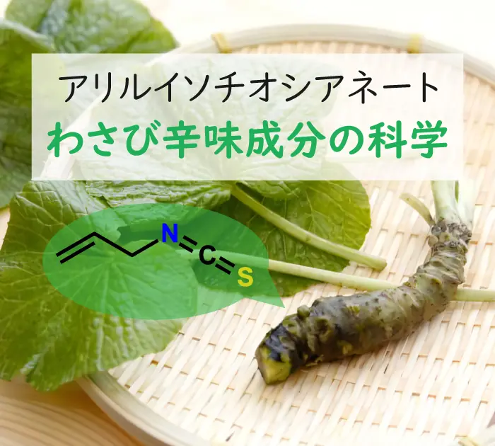わさびの辛味成分「アリルイソチオシアネート」の科学