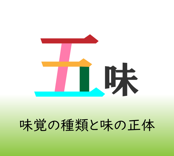 5つの基本的な味覚「五味」を詳しく解説
