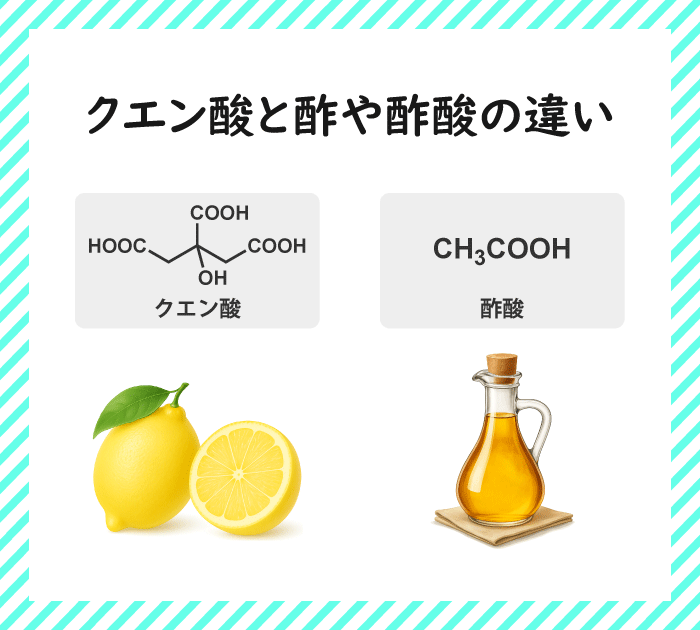 クエン酸と酢に含まれる酢酸の違い【酢にクエン酸は皆無】