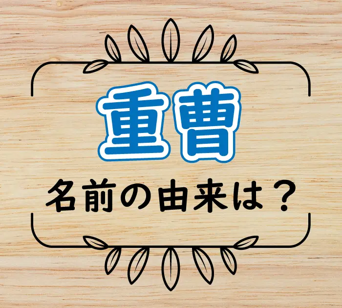 「重曹」の意味や名前の由来は？【高比重で重いから説は間違い】